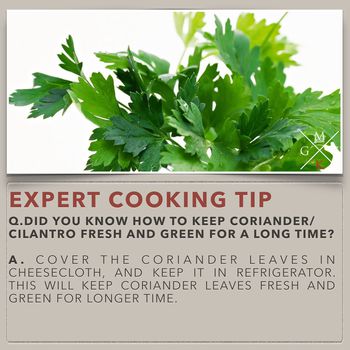 Image of How To Keep Coriander Leaves Fresh For Long Time?