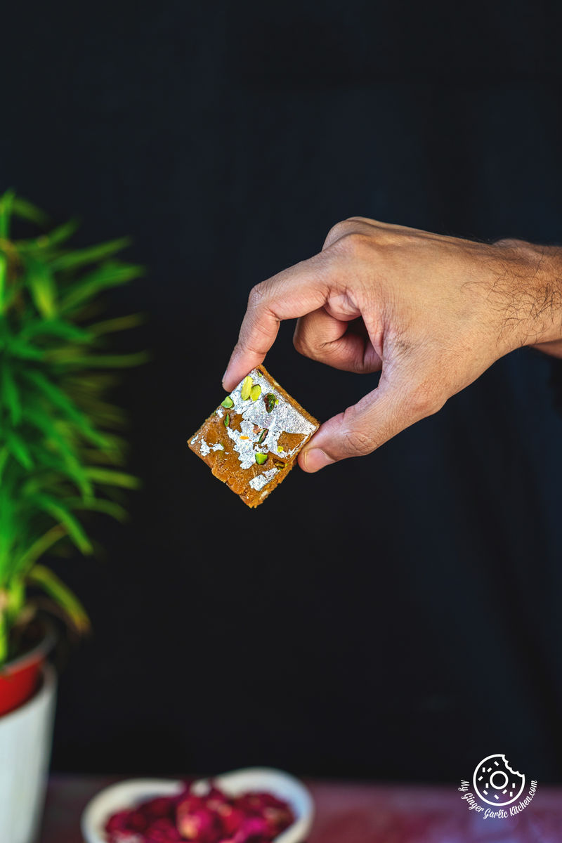 photo of a hand holding a dulce de leche burfi over a potted plant