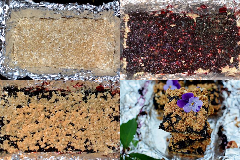 blueberry oat bars are arranged in a grid of different flavors of cake